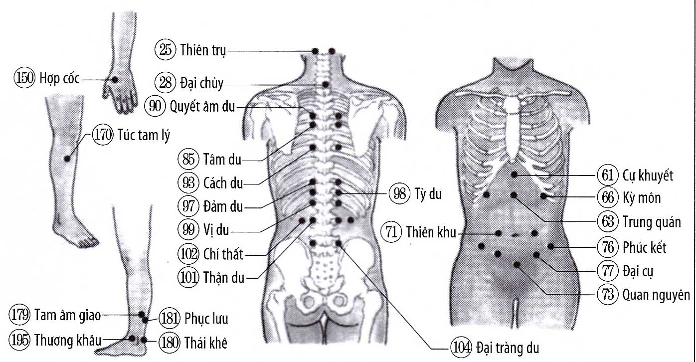 Dị ứng đường ruột