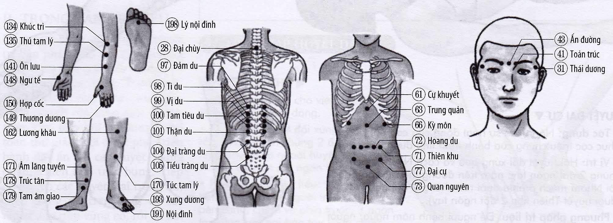 Kiết lỵ mạn tính
