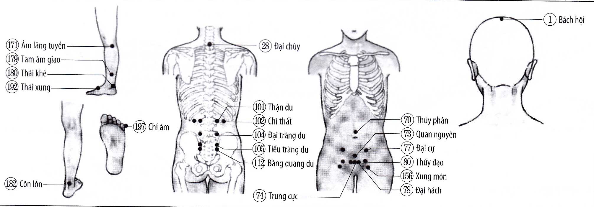 Viêm bàng quang, viêm niệu đạo