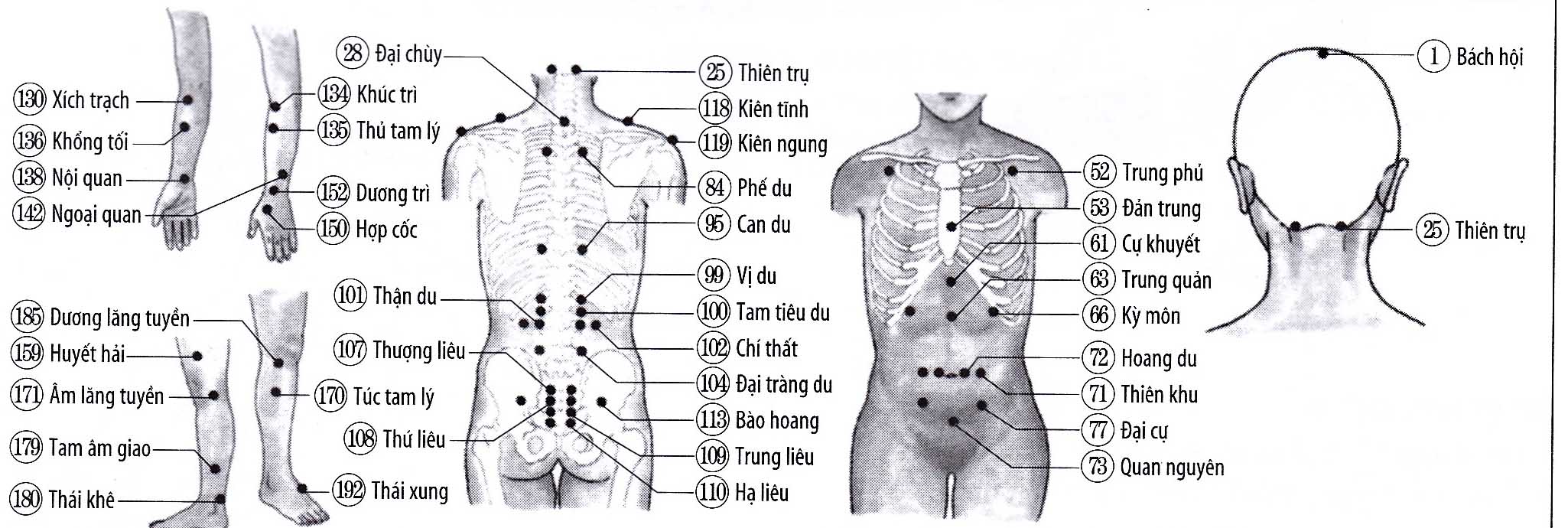 Bệnh mẩn ngứa, mề đay