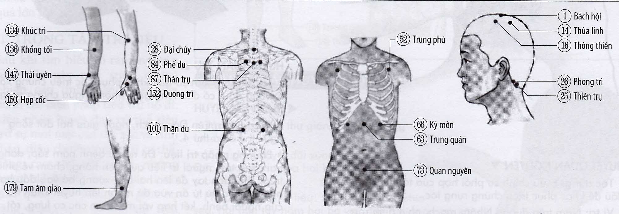 Mụn, mụn bọc tuổi dậy thì