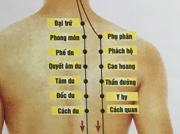 Đốc Du
