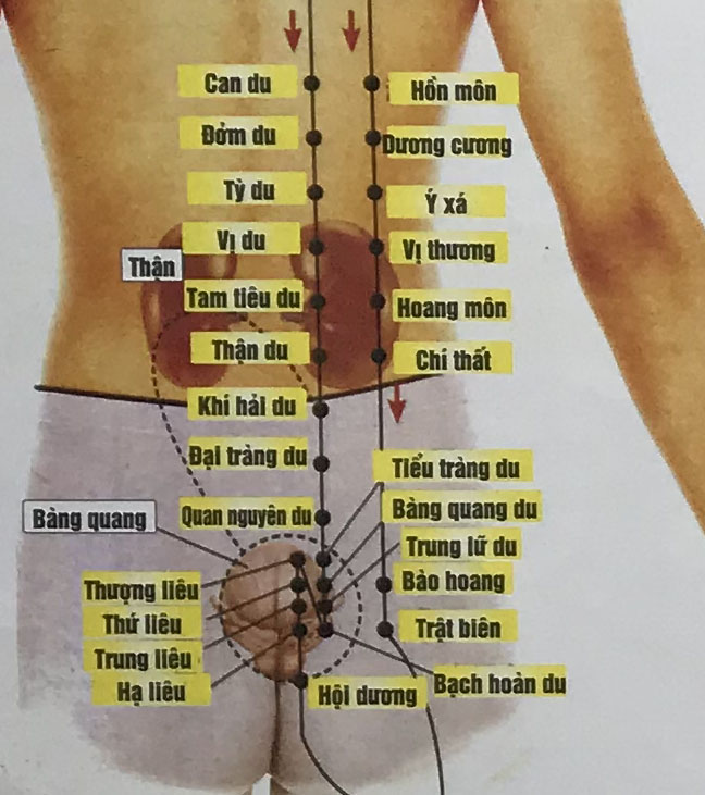 Dương Cương