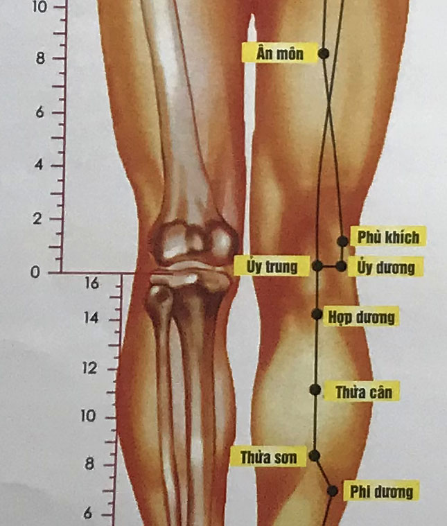 Hợp Dương