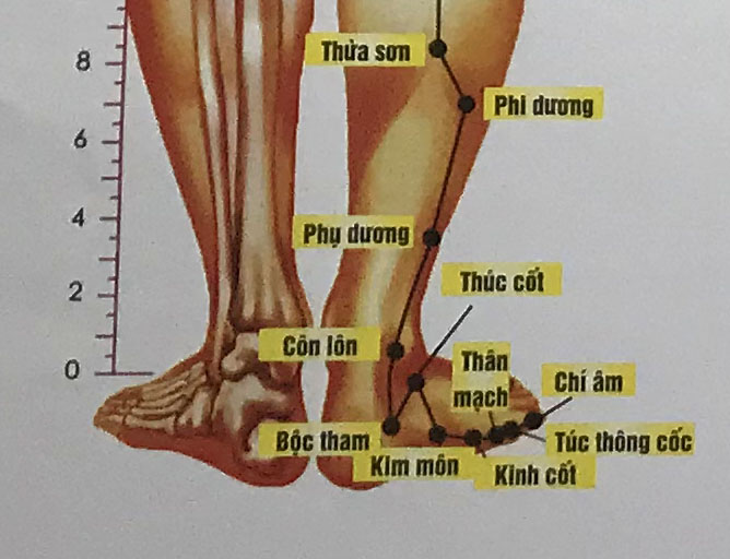 Túc Thông Cốc