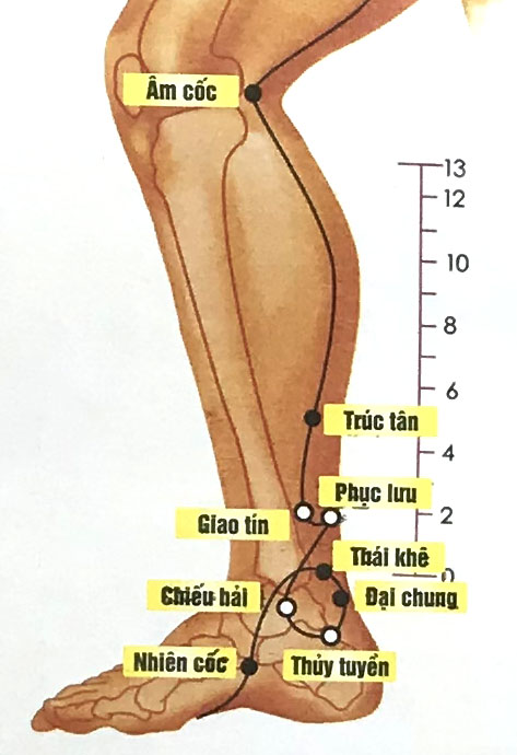 Đại Chung