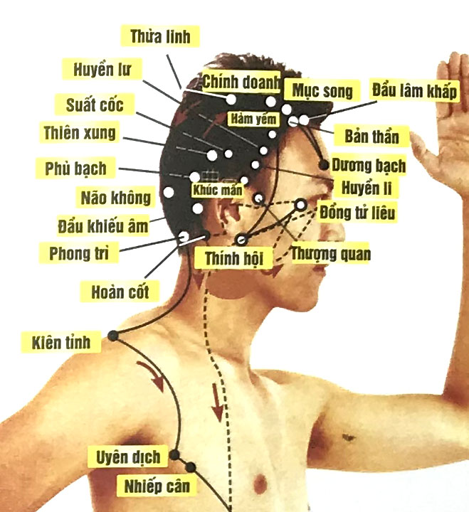 Thính Hội