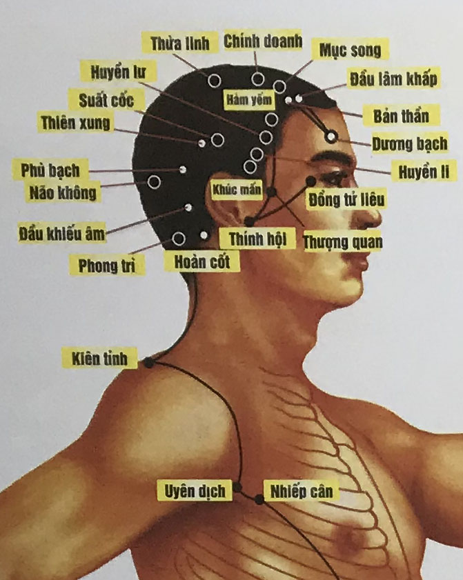 Đầu Khiếu Âm