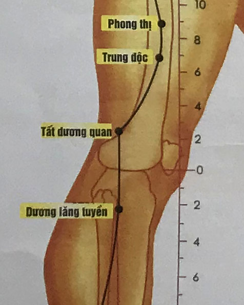 Tất Dương Quan