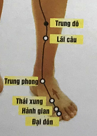 Đại Đôn