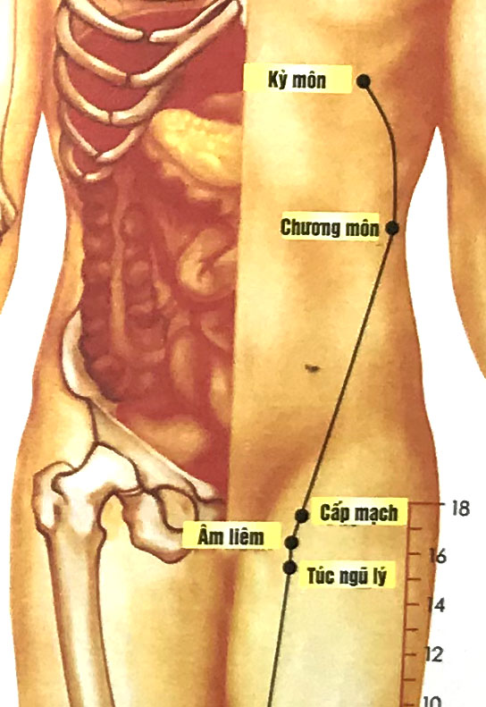Cấp Mạch