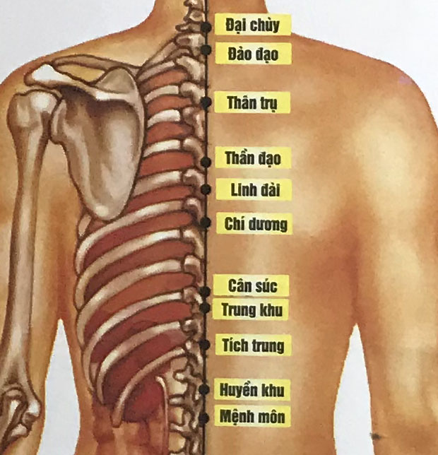 Cân Súc