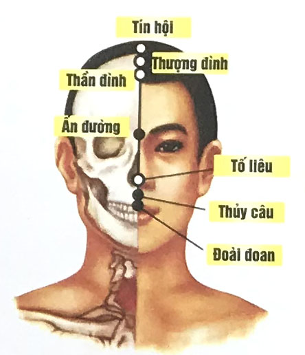 Tố Liêu