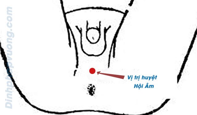 Hội Âm