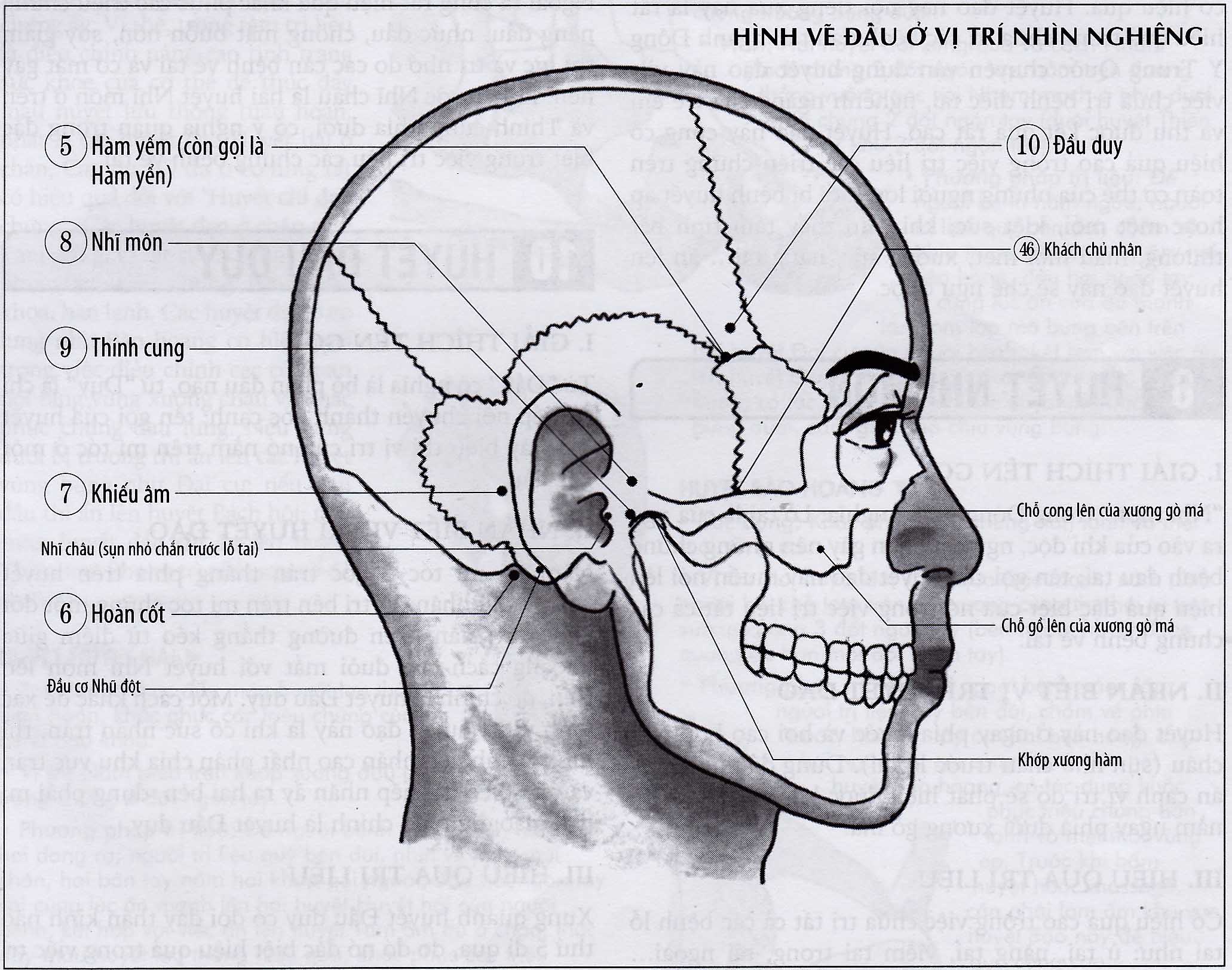 Nhĩ Môn
