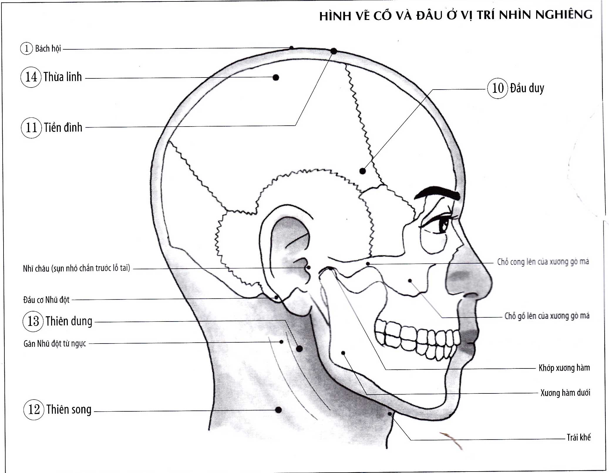 Tiền Đình