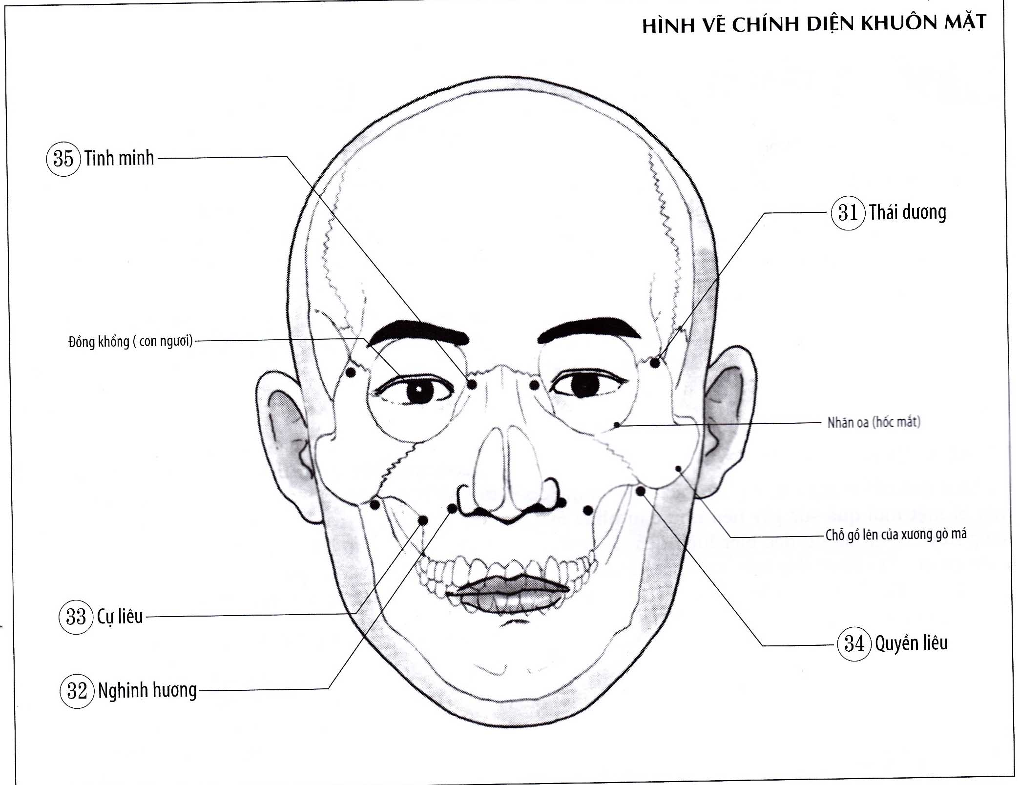 Quyền Liêu