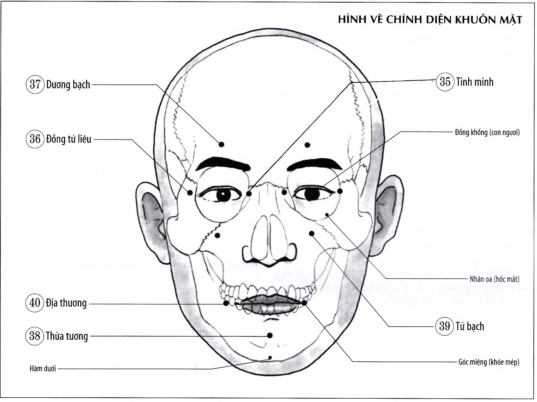 Dương Bạch