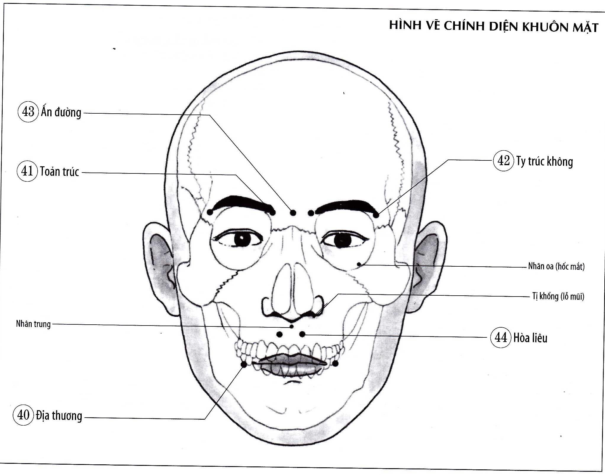Ty Trúc Không