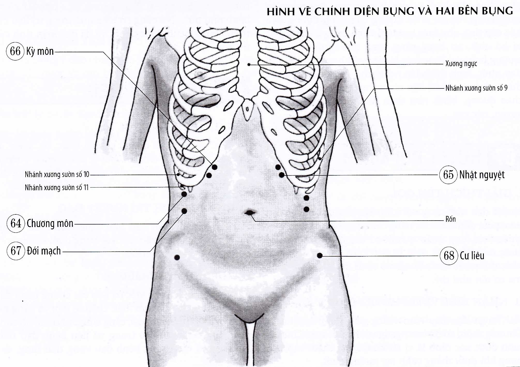 Đới Mạch