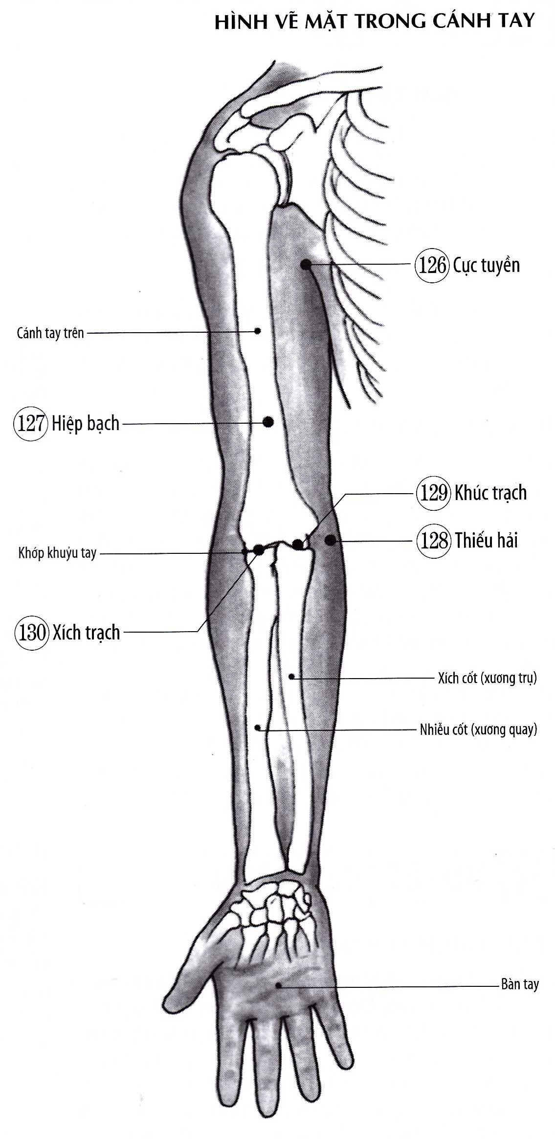 Khúc Trạch