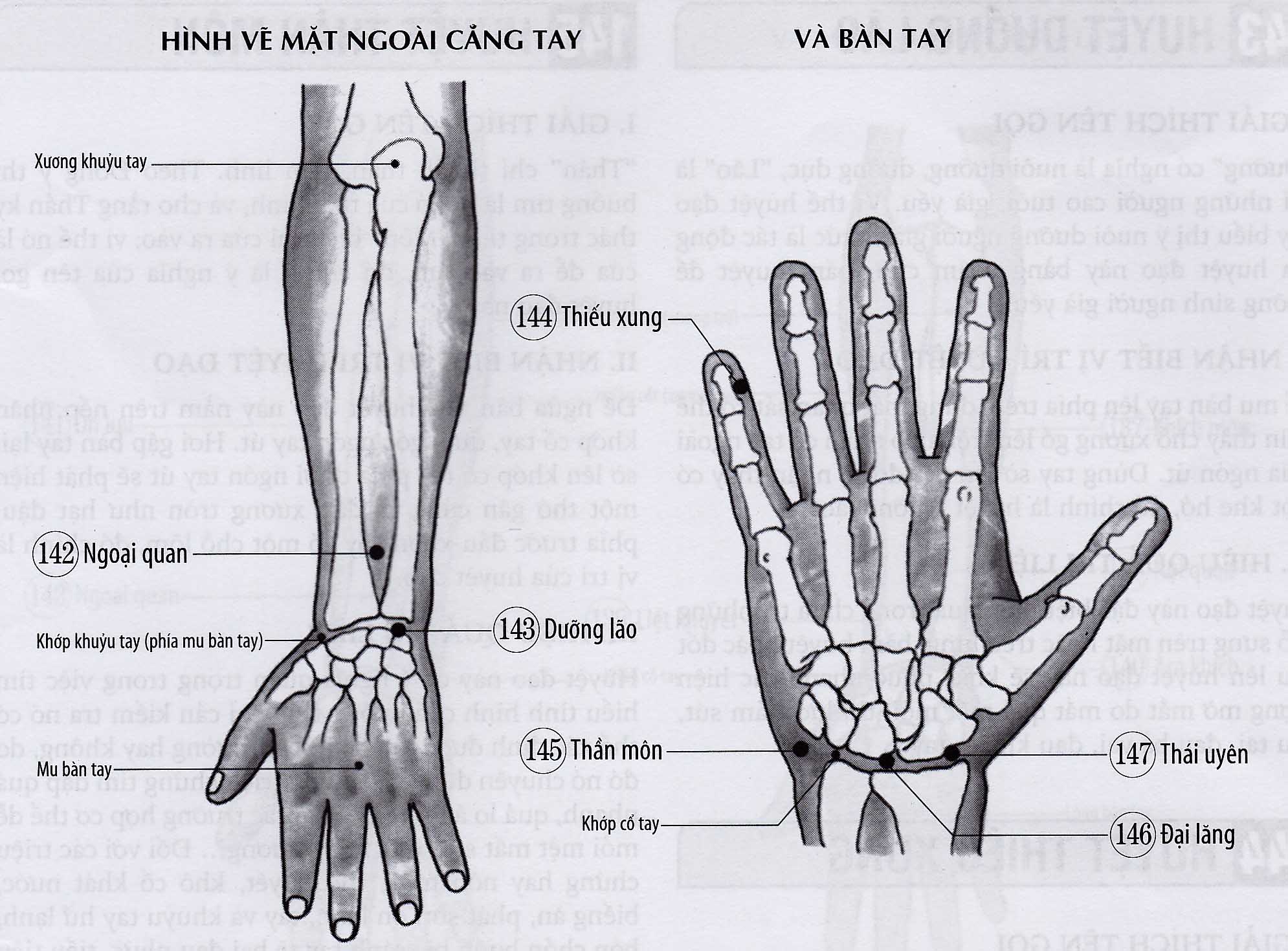 Thái Uyên