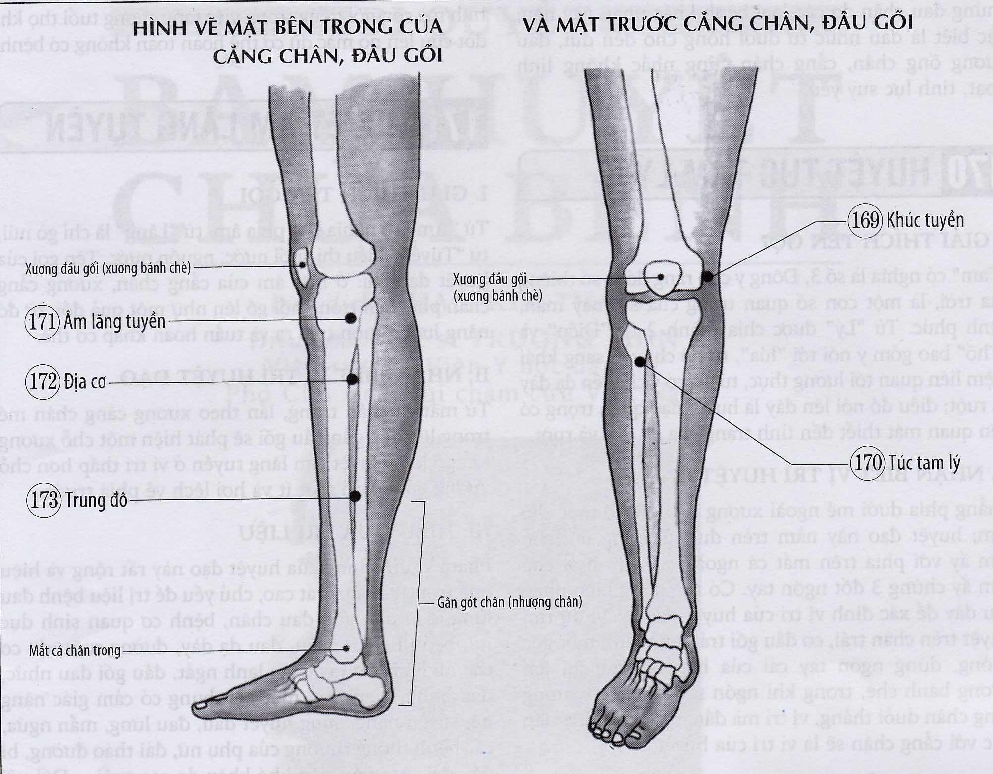 Âm Lăng Tuyền