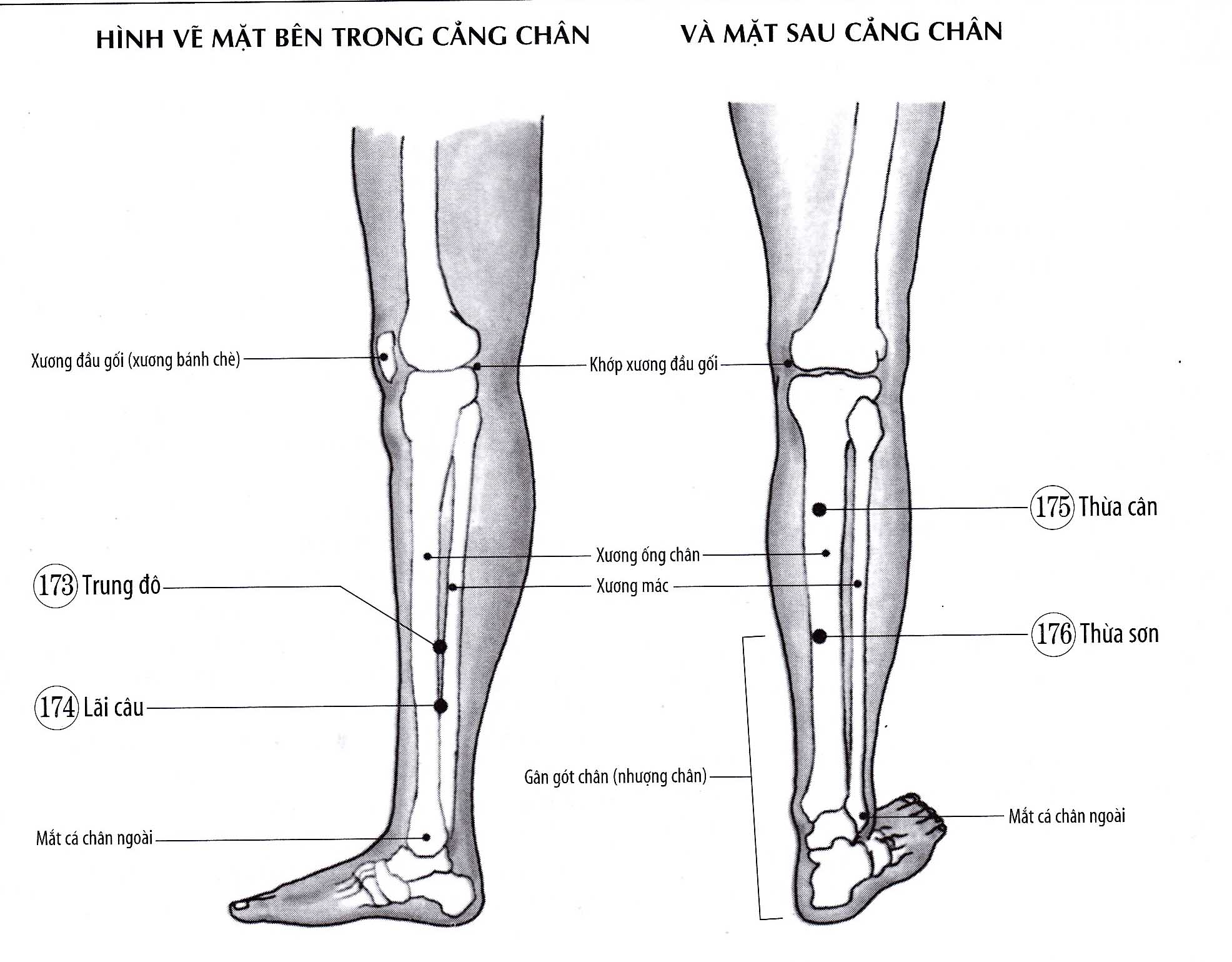 Thừa Cân