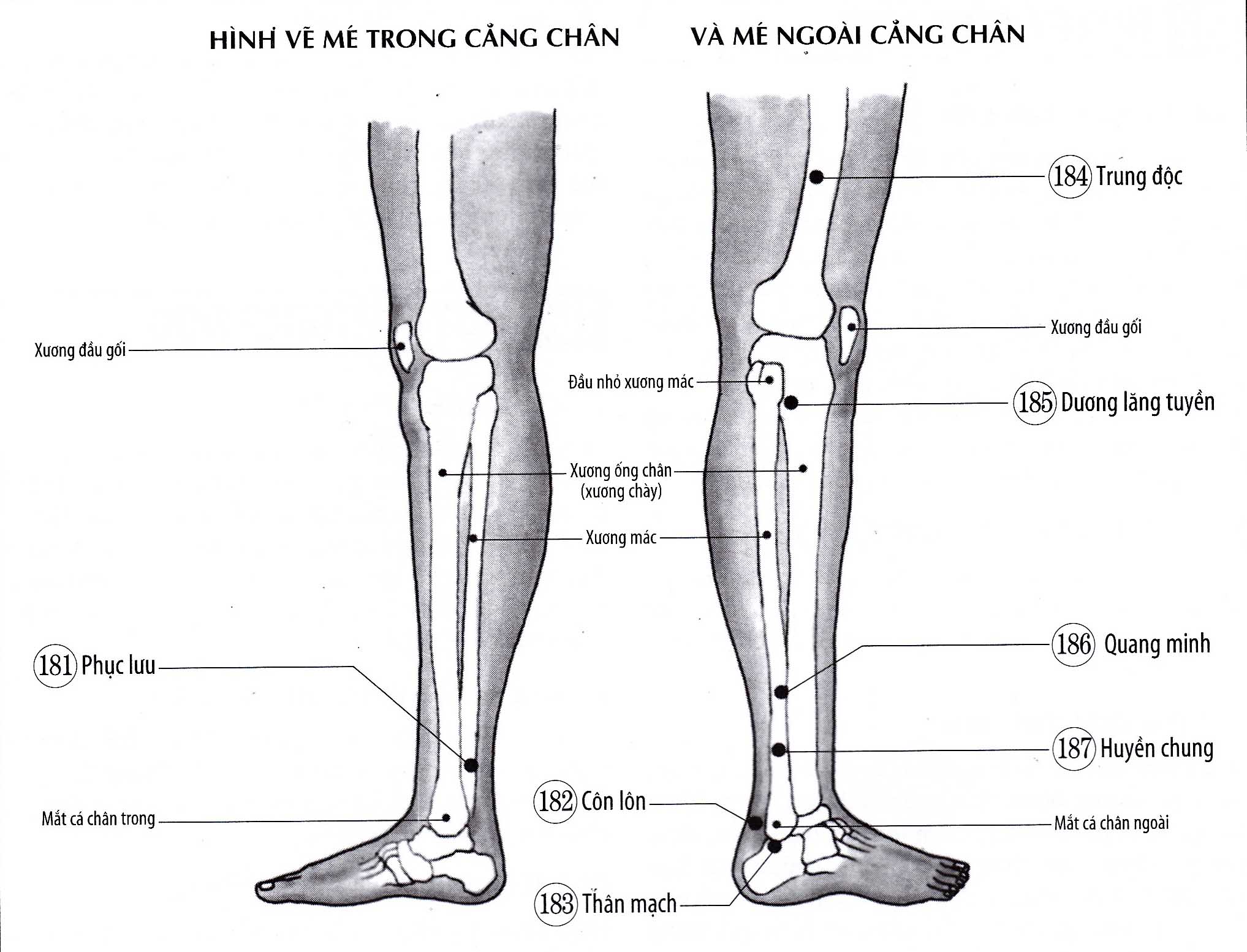 Dương Lăng Tuyền