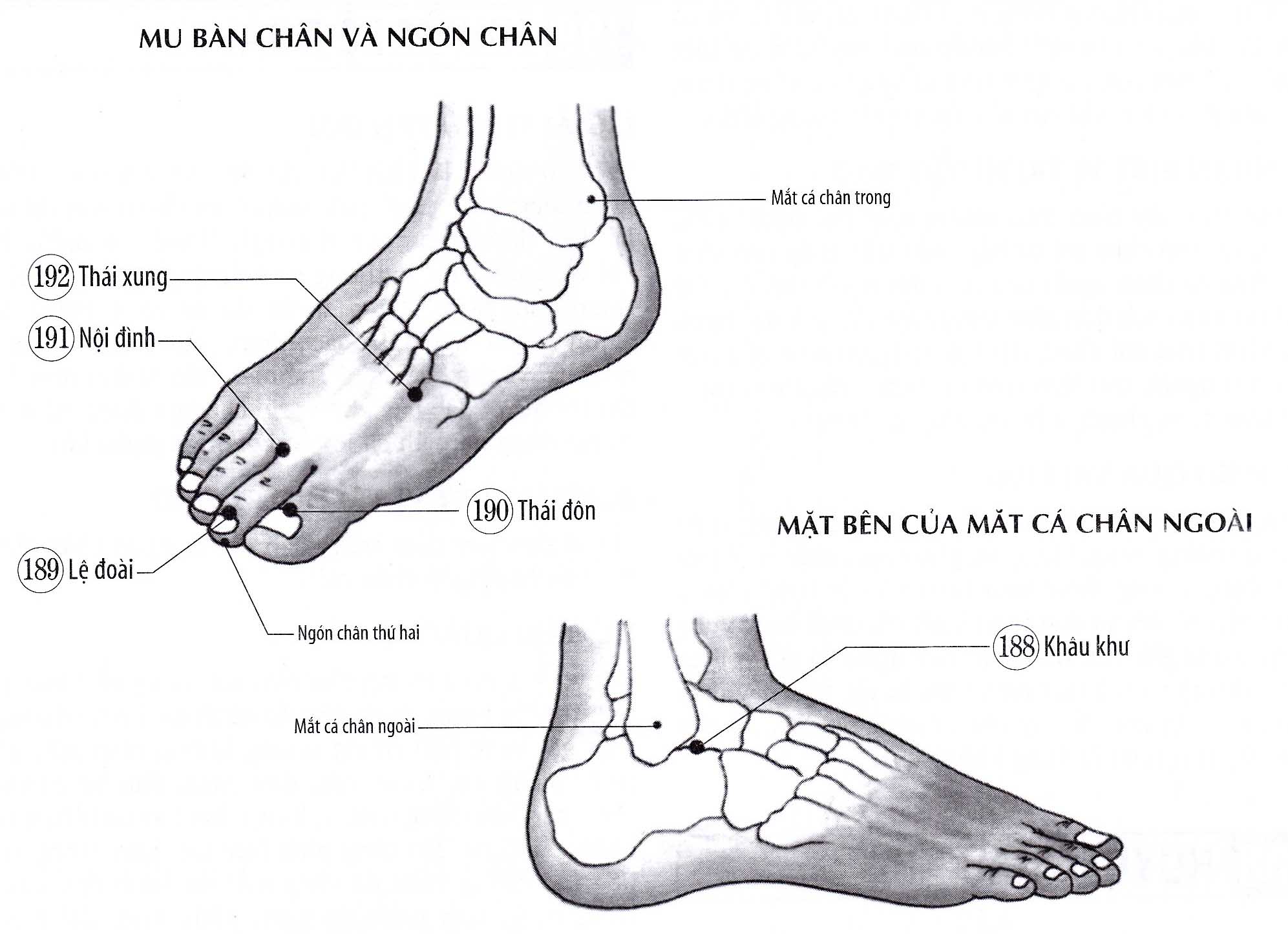 Lệ Đoài