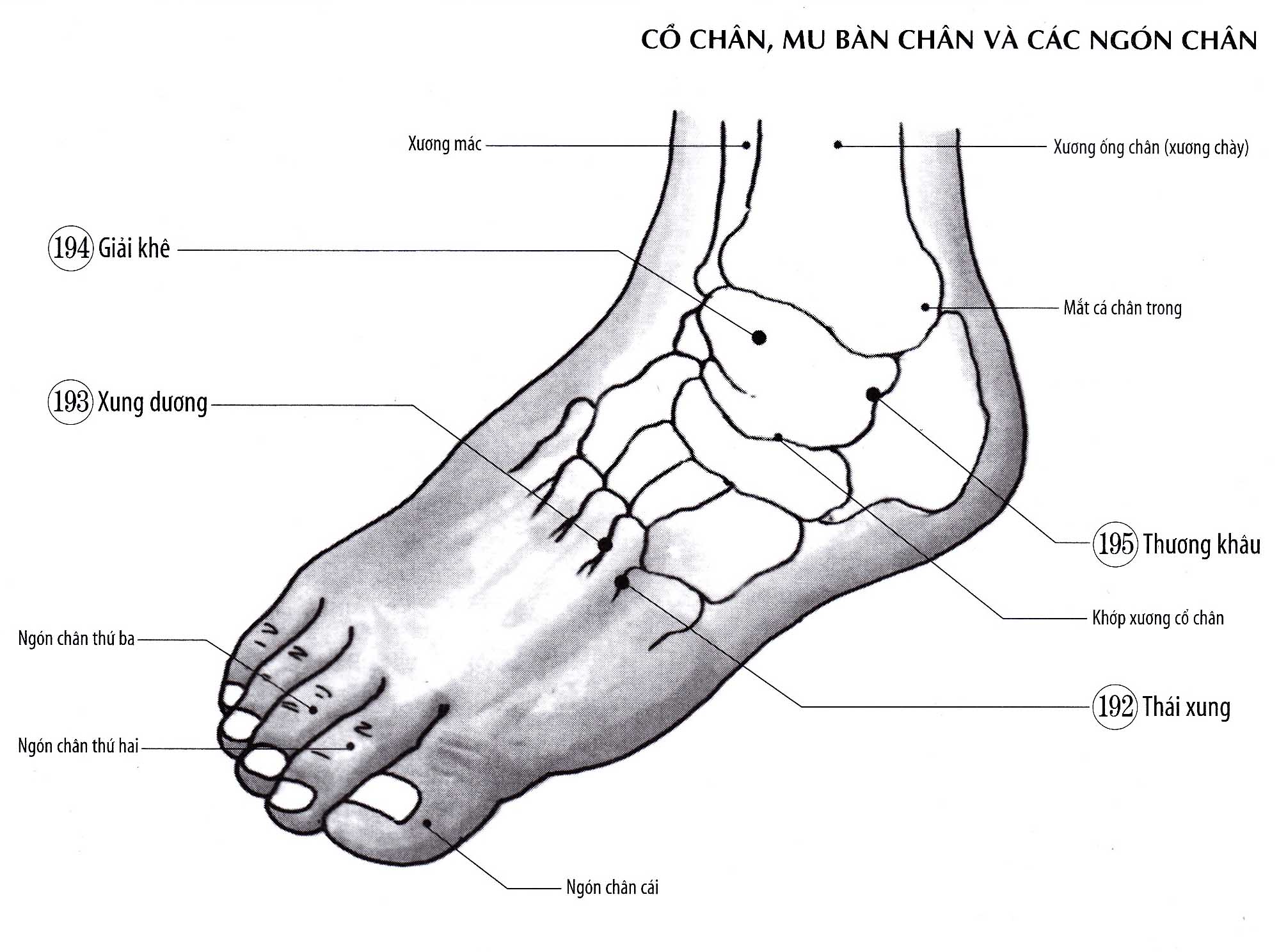 Thương Khâu