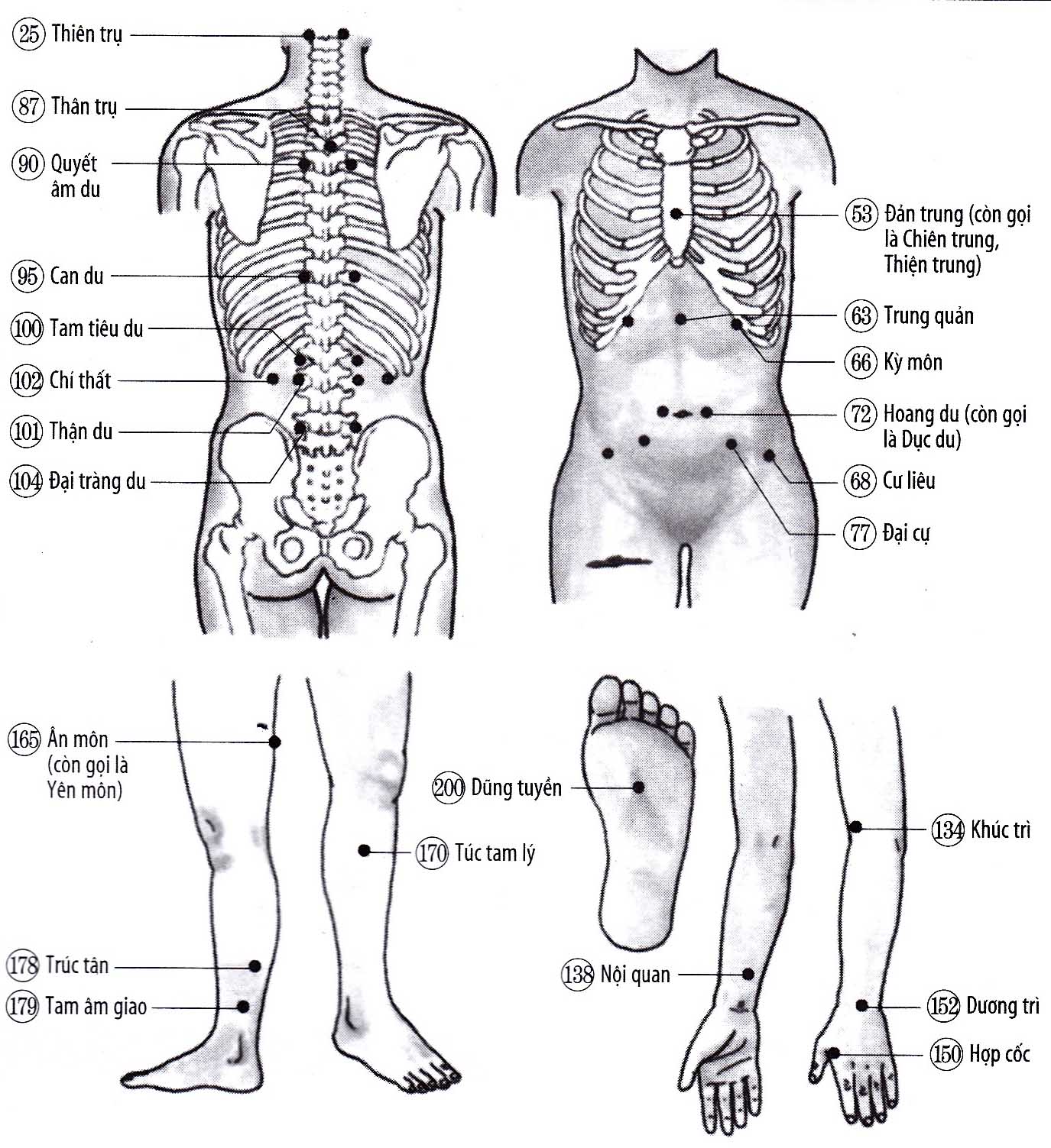Cơ thể mỏi mệt, đau nhức