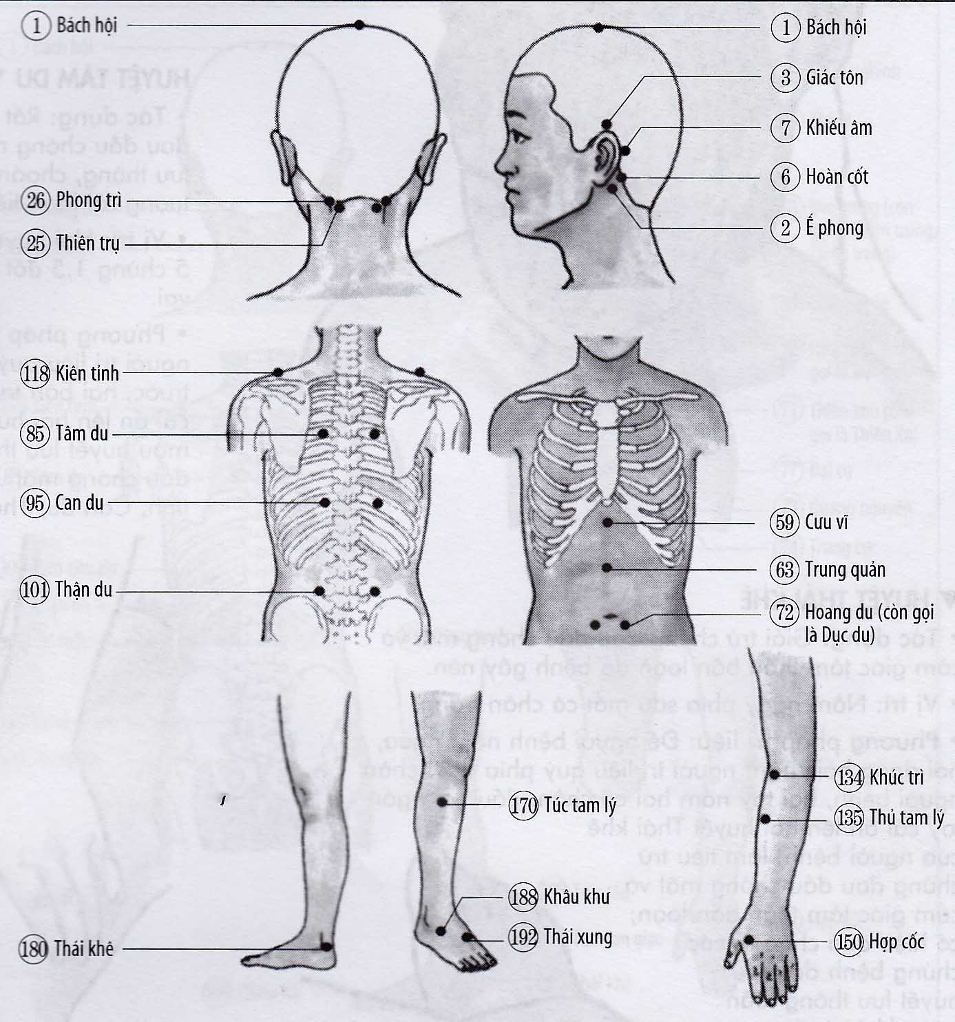 Chóng mặt, choáng váng khi đứng lên đột ngột