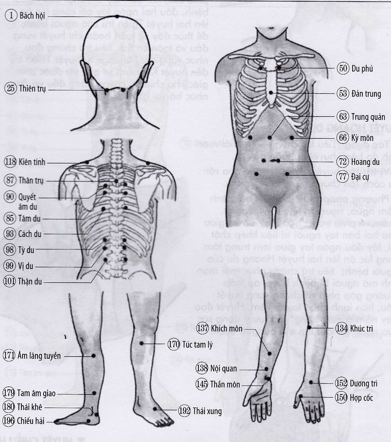 Chứng huyết áp thấp
