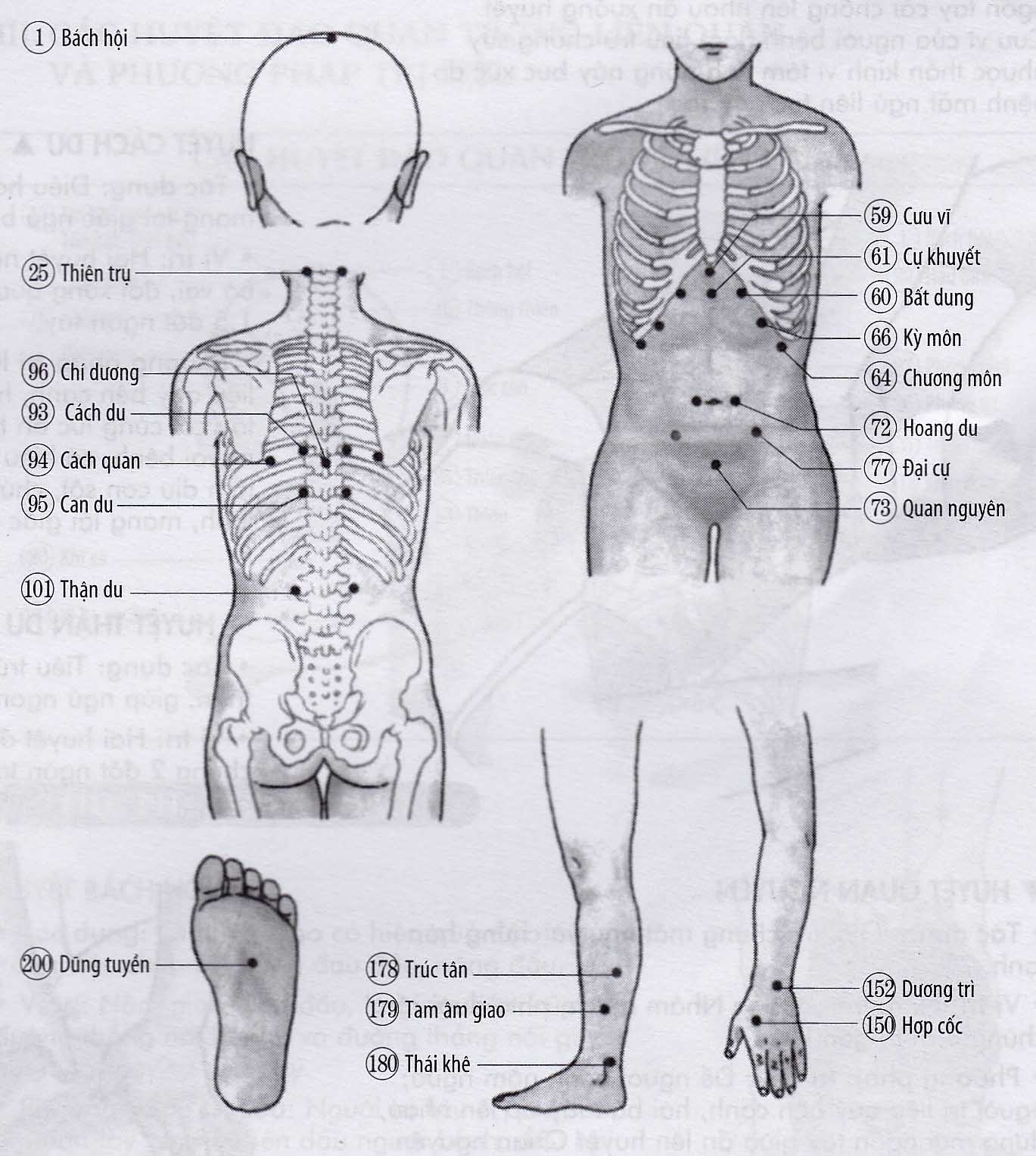 Chứng mất ngủ