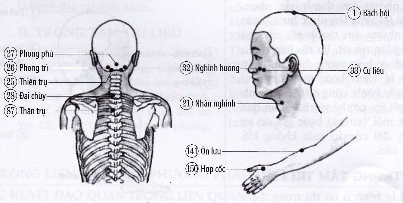 Chứng chảy máu mũi (máu cam)