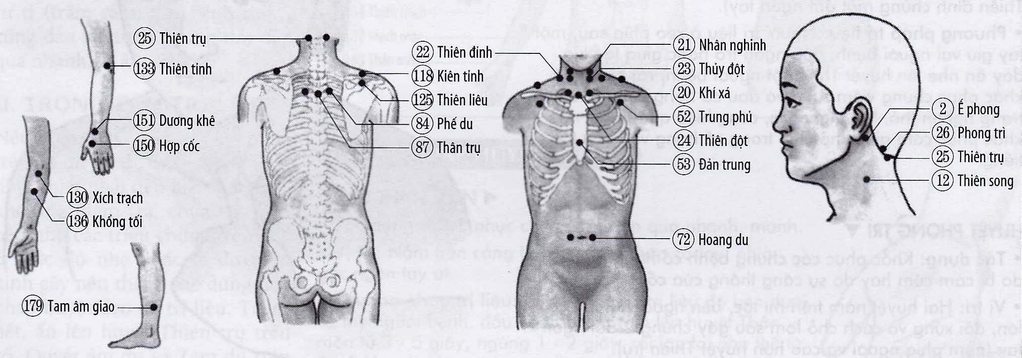 Chứng đau họng, khan cổ