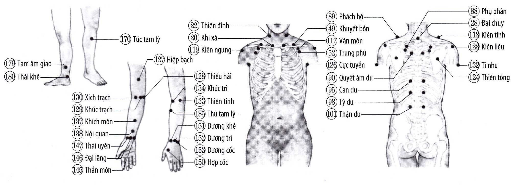 Đau cơ bắp, thần kinh và tê bại tay