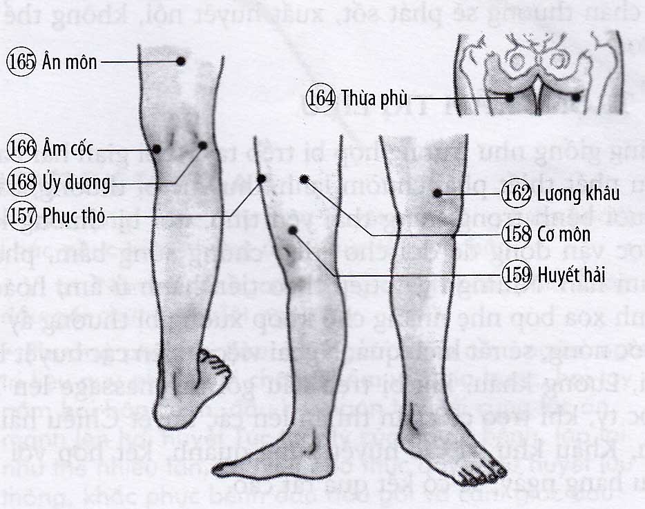 Đau thớ thịt