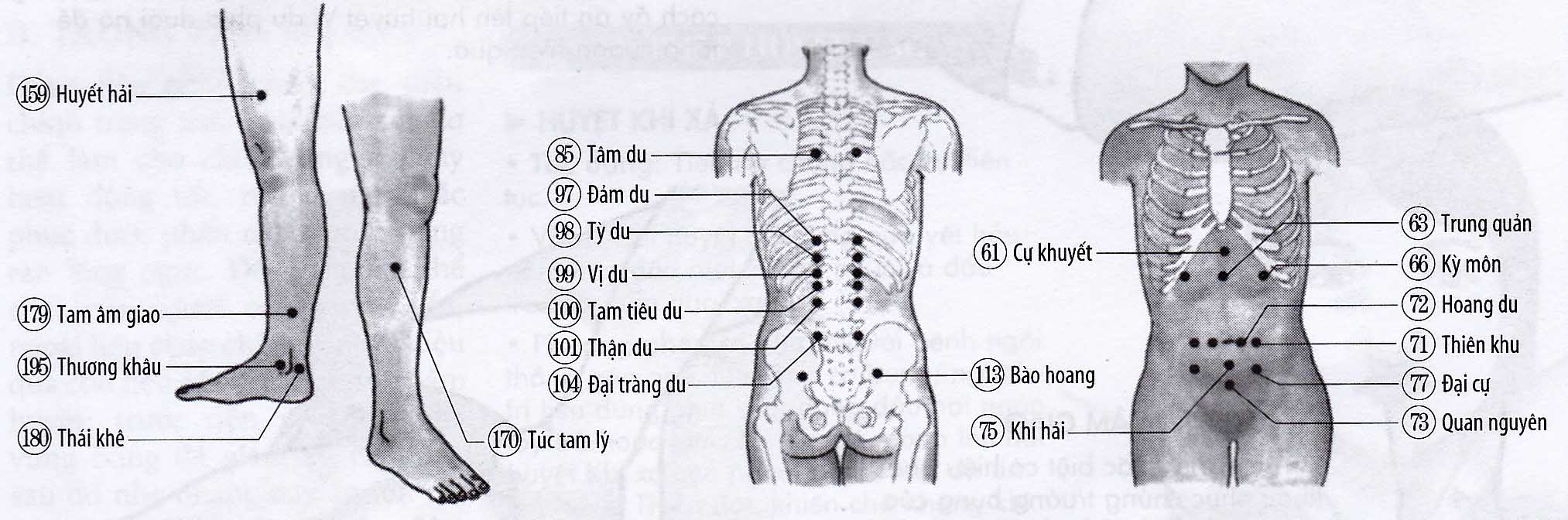 Trướng bụng, sôi bụng