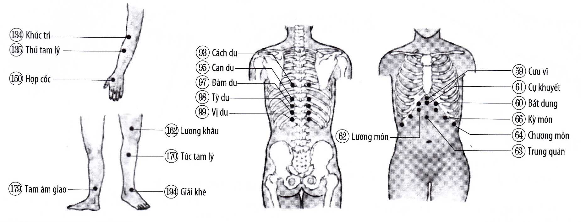 Đau bụng, co thắt dạ dày
