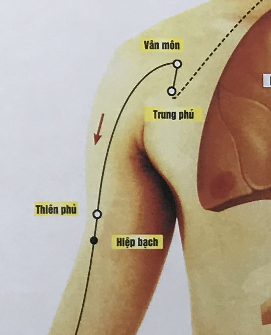 Thiên Phủ