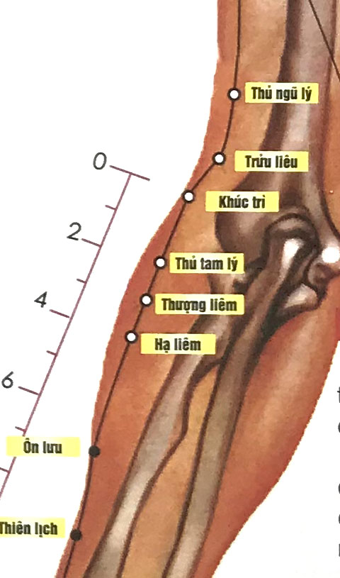 Hạ Liêm