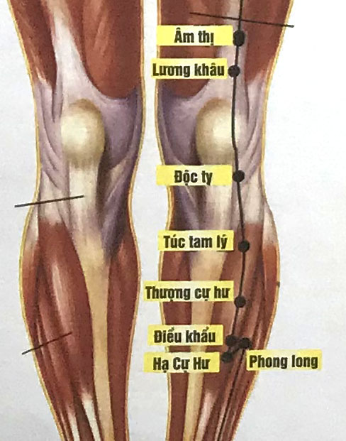 Thượng Cự Hư