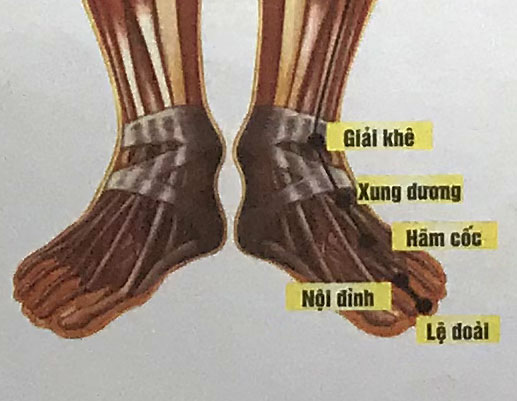 Hõm Cốc
