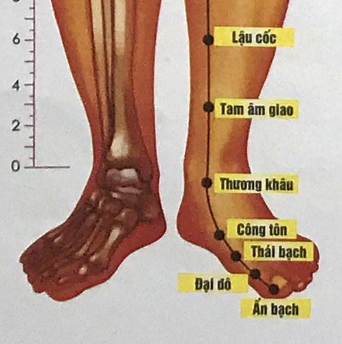 Thái Bạch