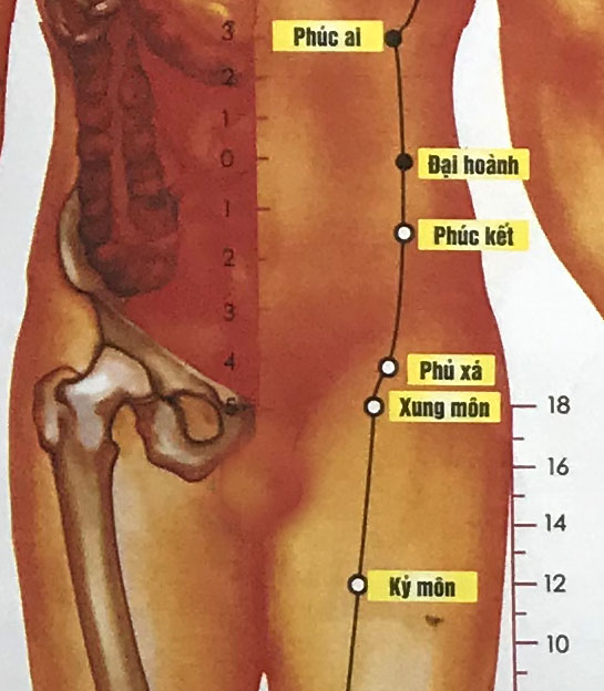 Phủ Xá